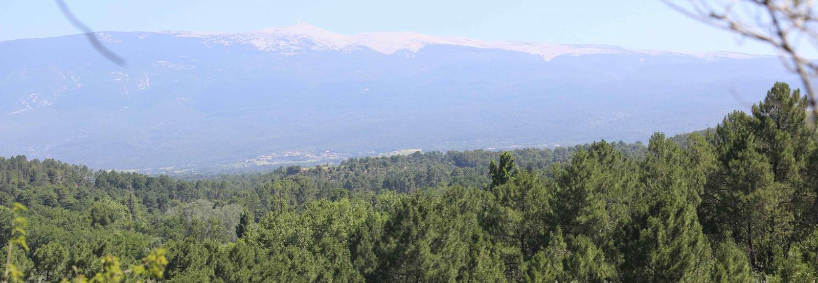 Sortie famille en vaucluse