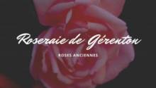 La Roseraie de Gérenton : une parenthèse florale à découvrir près de Ventoux Aventure Bédoin La Roseraie de Gérenton