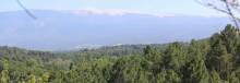 Top 5 des activités de loisirs proche de Vaison la romaine Ventoux aventure