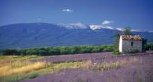 randonnées mont ventoux